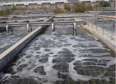 ��ˮ̎���̲��ݾ���������h(yu��n)չ�F(xi��n)��(y��u)�|(zh��)����(w��)