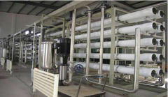 過敏很可能危及生命,過敏原的分離純化技術是必不可少的 過敏很可能危及生命,過敏原的分離純化技術是必不可少的