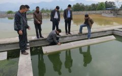 �h������Y��Ͷ��޴�h�����}�q��