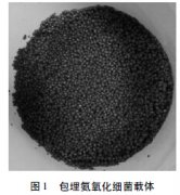 合成氨工業廢水如何處理 合成氨工業廢水如何處理
