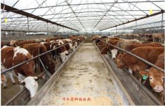 ţ�S�ĠI�B�rֵ�Լ����N��;���D��